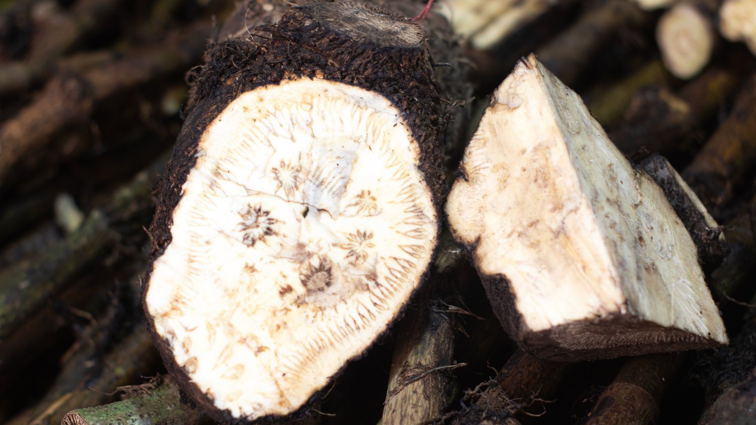 এটো চুইঝাল