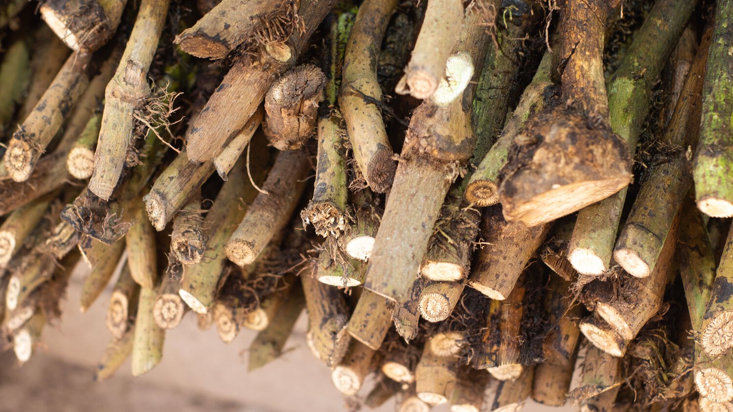 ঢাল চুইঝাল